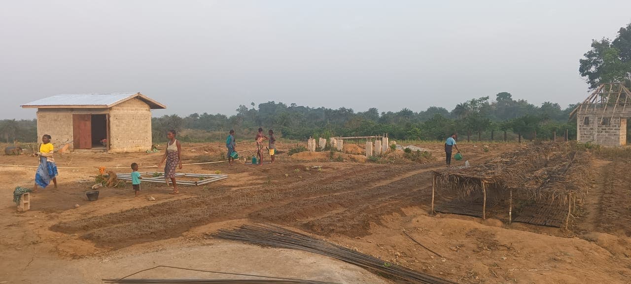 Workers carrying water across agricultural ground at dawn.